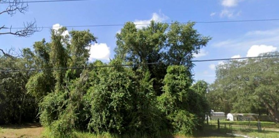 Terreno en Spring Hill, Florida № 1912358