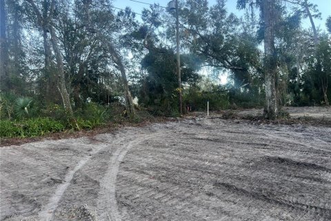 Land in Pomona Park, Florida № 2163962 - photo 3