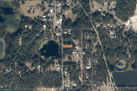 Land in Pomona Park, Florida № 2163962 - photo 2