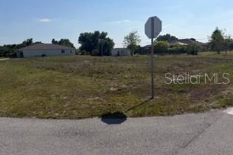 Land in Punta Gorda, Florida № 2205898 - photo 3