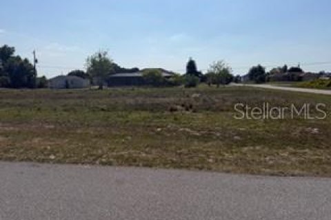 Land in Punta Gorda, Florida № 2205898 - photo 2
