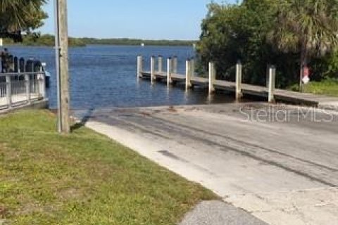 Land in Punta Gorda, Florida № 2205898 - photo 9