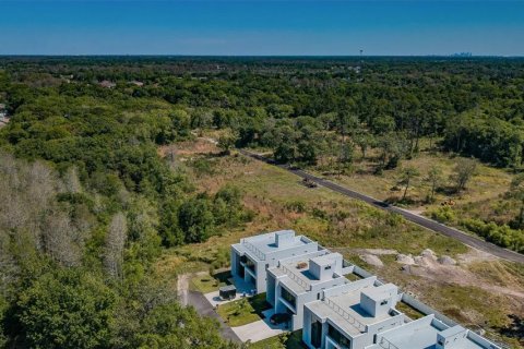 Land in Tampa, Florida № 2106688 - photo 5