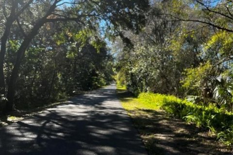 Land in Tampa, Florida № 2106688 - photo 3
