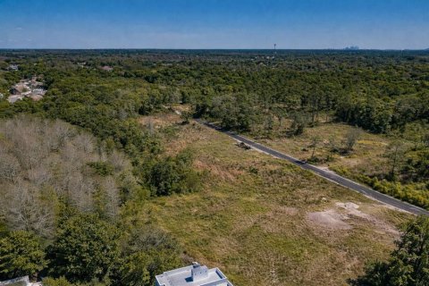 Land in Tampa, Florida № 2106688 - photo 6