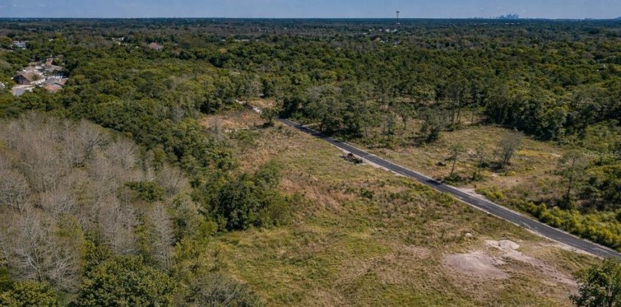 Land in Tampa, Florida № 2106688