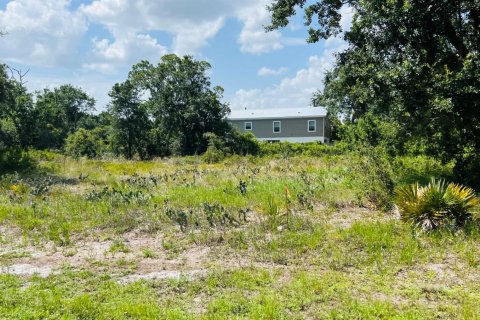 Commercial property in Lake Placid, Florida № 2179348