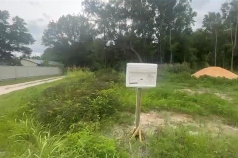 Land in Ocala, Florida № 2161123