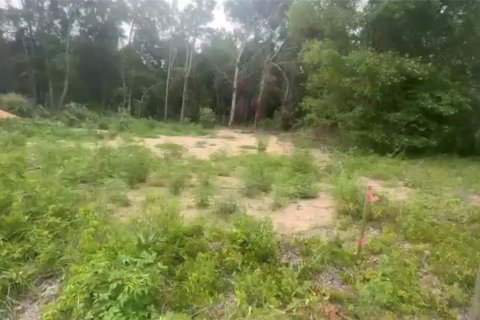 Land in Ocala, Florida № 2161123 - photo 8