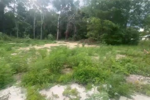 Land in Ocala, Florida № 2161123 - photo 7