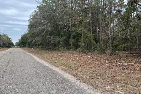 Land in Dunnellon, Florida № 2160828 - photo 4