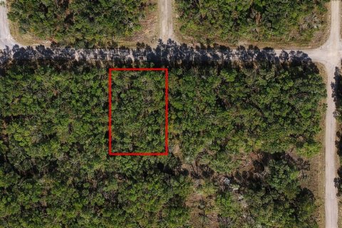 Land in Dunnellon, Florida № 2160828 - photo 2