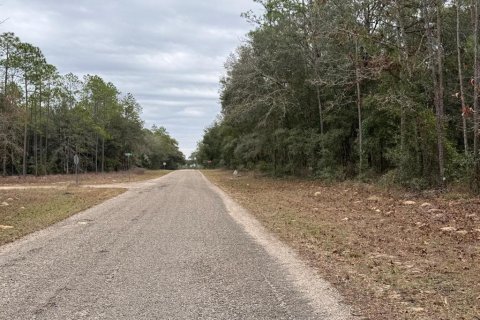 Land in Dunnellon, Florida № 2160828 - photo 3