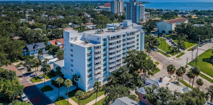 Condo à Saint Petersburg, Floride, 2 chambres № 2355000