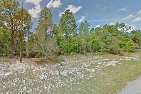 Land in Ocala, Florida № 2214309 - photo 2