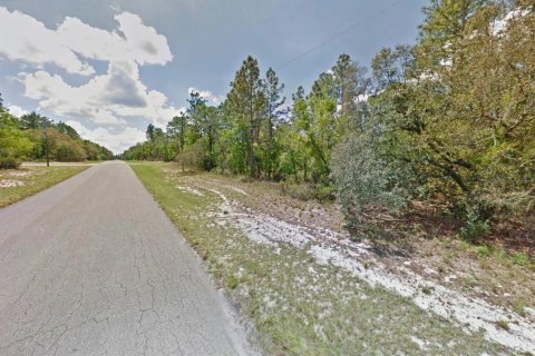 Land in Ocala, Florida № 2214309 - photo 5