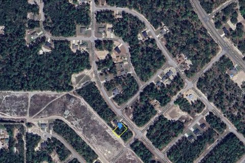 Land in Ocala, Florida № 2214309 - photo 11