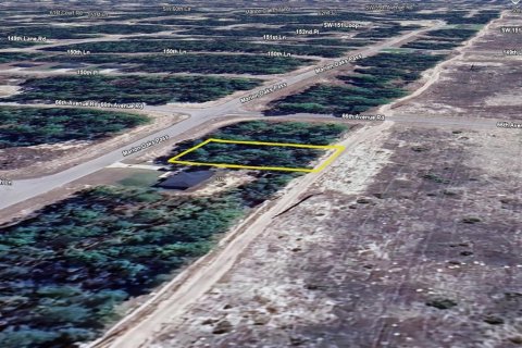 Land in Ocala, Florida № 2214309 - photo 6
