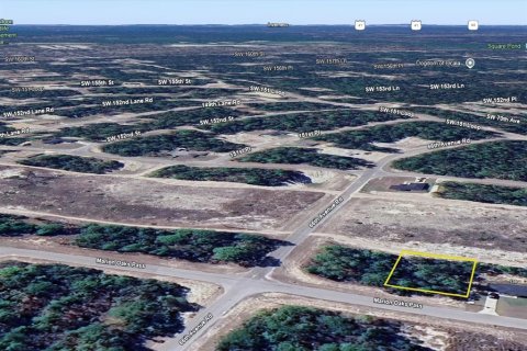 Land in Ocala, Florida № 2214309 - photo 10