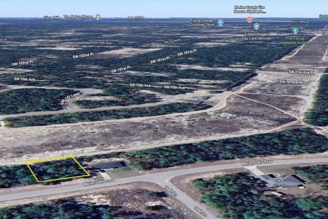 Land in Ocala, Florida № 2214309 - photo 12