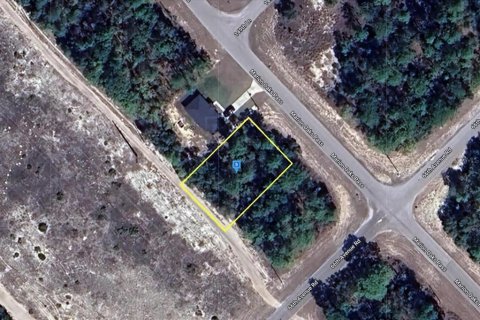 Land in Ocala, Florida № 2214309 - photo 15