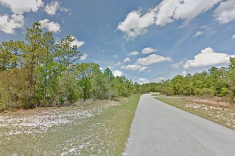 Land in Ocala, Florida № 2214309 - photo 4