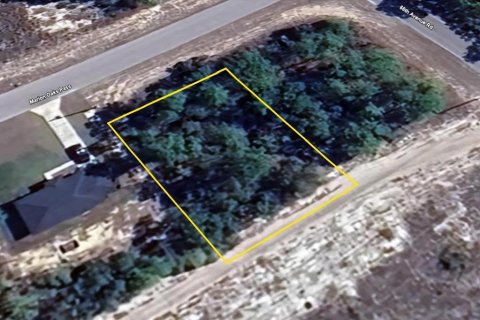 Land in Ocala, Florida № 2214309 - photo 14