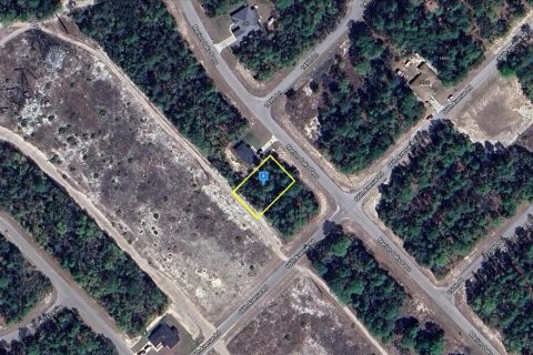Land in Ocala, Florida № 2214309 - photo 7