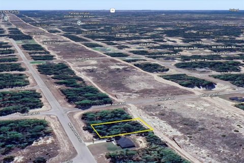Land in Ocala, Florida № 2214309 - photo 8