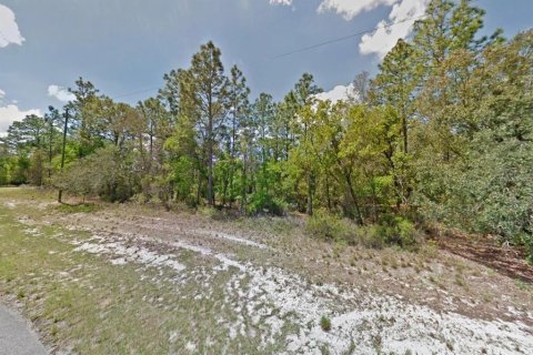 Land in Ocala, Florida № 2214309 - photo 3