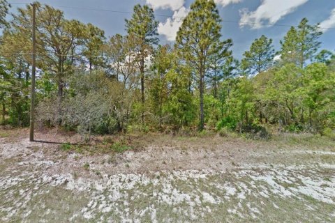 Land in Ocala, Florida № 2214309