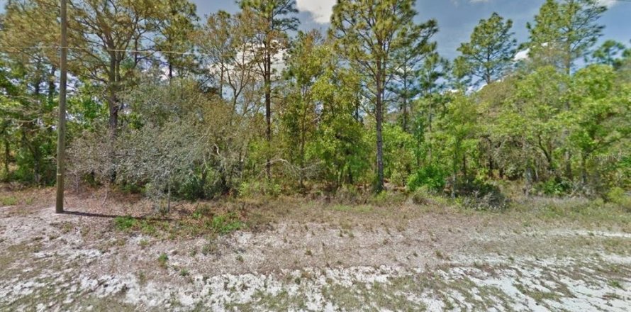 Land in Ocala, Florida № 2214309