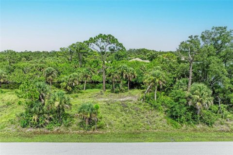 Terreno en venta en Port Charlotte, Florida № 1831237 - foto 5