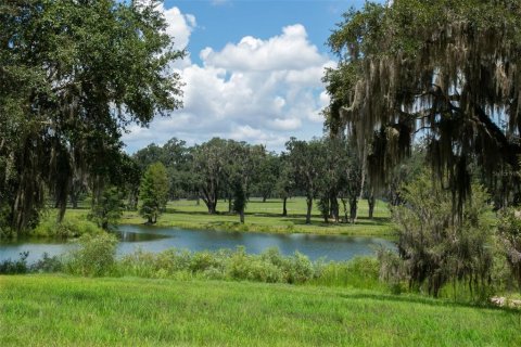 Casa en venta en Summerfield, Florida, 2 habitaciones, 46.82 m2 № 2142469 - foto 12