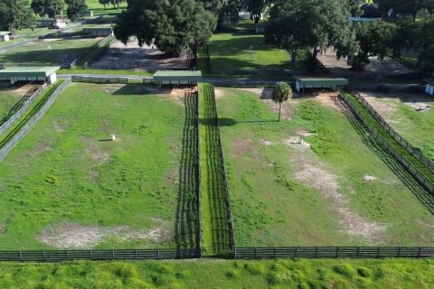 Casa en venta en Summerfield, Florida, 2 habitaciones, 46.82 m2 № 2142469 - foto 11