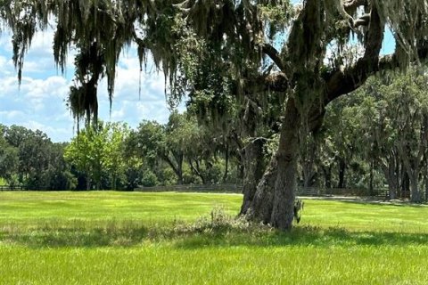 Casa en venta en Summerfield, Florida, 2 habitaciones, 46.82 m2 № 2142469 - foto 24