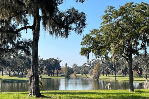 Casa en venta en Summerfield, Florida, 2 habitaciones, 46.82 m2 № 2142469 - foto 8