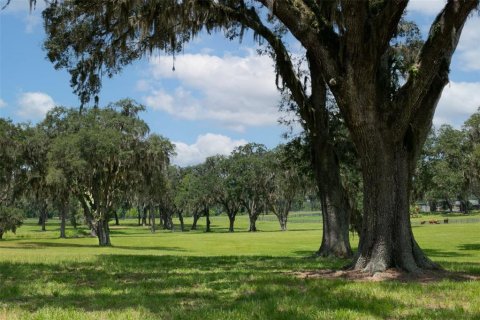 Casa en venta en Summerfield, Florida, 2 habitaciones, 46.82 m2 № 2142469 - foto 14