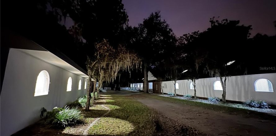 Casa en Summerfield, Florida 2 habitaciones, 46.82 m2 № 2142469