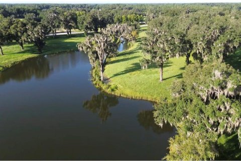 Casa en venta en Summerfield, Florida, 2 habitaciones, 46.82 m2 № 2142469 - foto 9