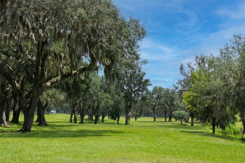Casa en venta en Summerfield, Florida, 2 habitaciones, 46.82 m2 № 2142469 - foto 15