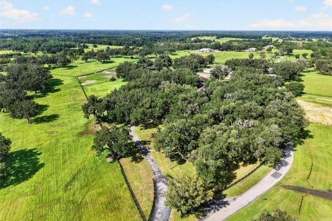 Casa en venta en Summerfield, Florida, 2 habitaciones, 46.82 m2 № 2142469 - foto 22