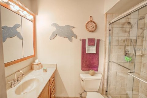 Villa ou maison à louer à Temple Terrace, Floride: 4 chambres, 216.56 m2 № 2102377 - photo 18