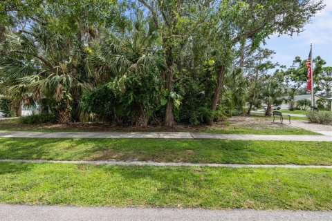 Land in Sarasota, Florida № 1913586 - photo 4