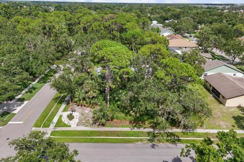 Land in Sarasota, Florida № 1913586 - photo 8