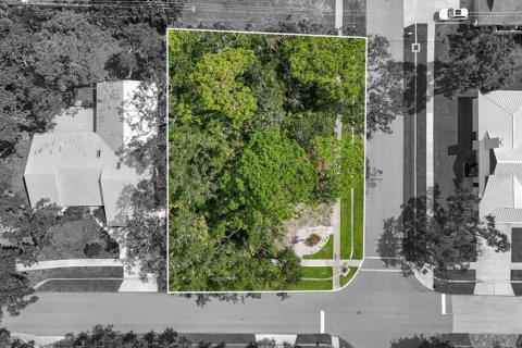 Land in Sarasota, Florida № 1913586 - photo 7