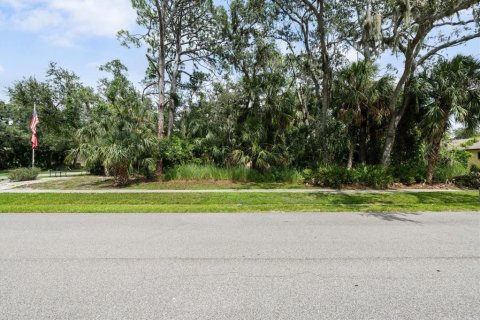 Land in Sarasota, Florida № 1913586 - photo 5