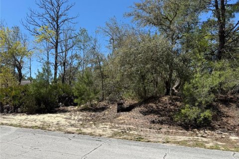 Land in Dunnellon, Florida № 2232668