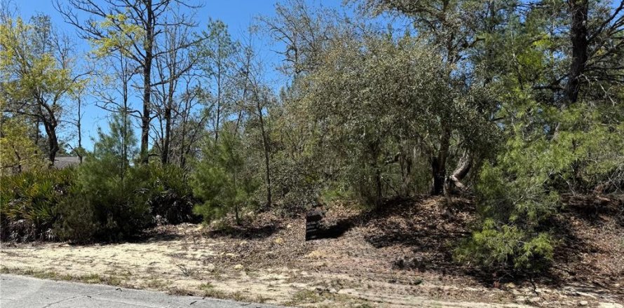 Terrain à Dunnellon, Floride № 2232668