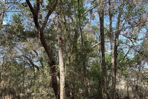 Land in Brooksville, Florida № 1724031 - photo 5